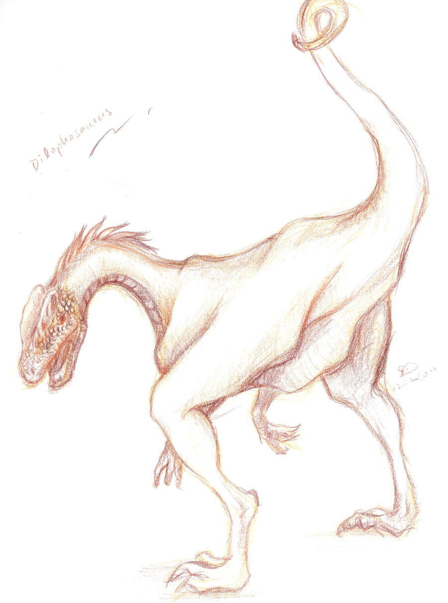 Uncategorized Sketches Of Dinosaurs marty hon spirit mouse online portfolio dinosaurs and creatures drawings sketches